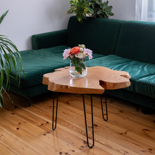 Pure Nature coffee table