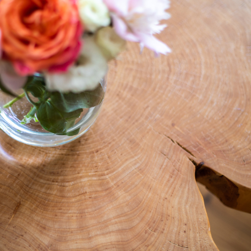 Pure Nature coffee table